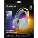DEFENDER (64695) Tsunami BT/2.4G, белый