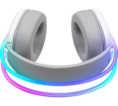 DEFENDER (64695) Tsunami BT/2.4G, белый