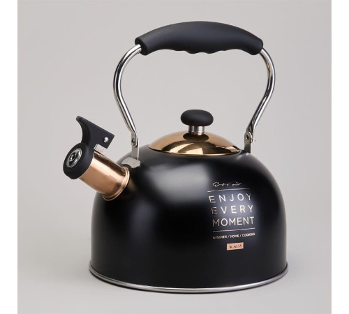 AGNESS 914-162 2,5л индукция