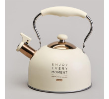 AGNESS 914-160 2,5л индукция