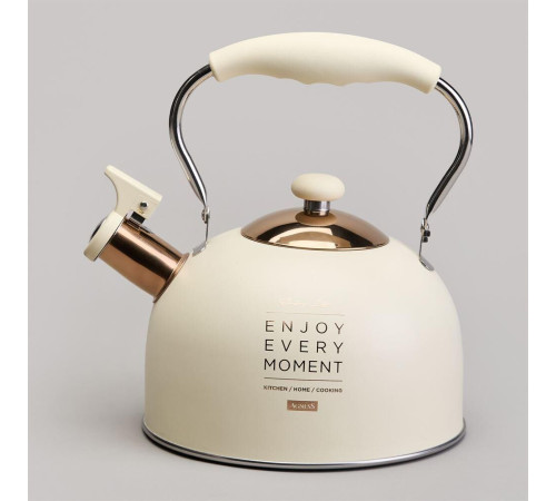 AGNESS 914-160 2,5л индукция