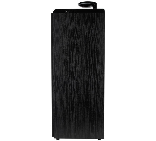 ELTRONIC (30-50 черный) HOME SOUND - колонка 0,8