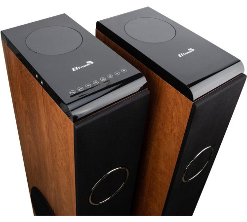 ELTRONIC (30-50 бук) HOME SOUND - колонка 08