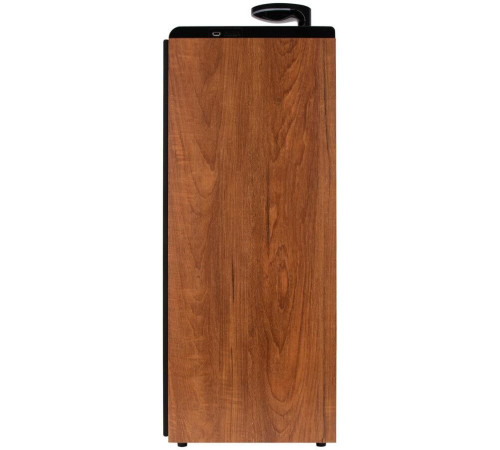 ELTRONIC (30-50 бук) HOME SOUND - колонка 08