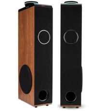 ELTRONIC (30-50 бук) HOME SOUND - колонка 08