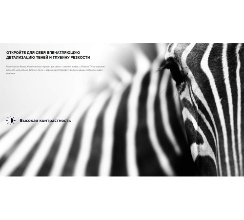 HISENSE 32A4Q SMART TV Full HD