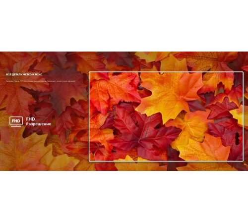 HISENSE 32A4Q SMART TV Full HD