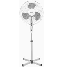 BLACKTON Bt F1115 White