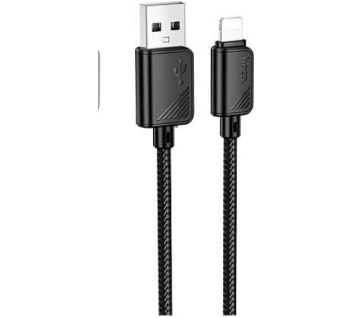 HOCO (6942007646116) X113i USB 2.4A для Lightning , черный