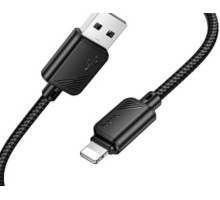 HOCO (6942007646116) X113i USB 2.4A для Lightning , черный