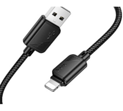 HOCO (6942007646116) X113i USB 2.4A для Lightning , черный