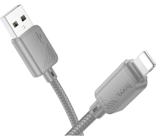 HOCO (6942007646130) X113i USB 2.4A для Lightning , Grey