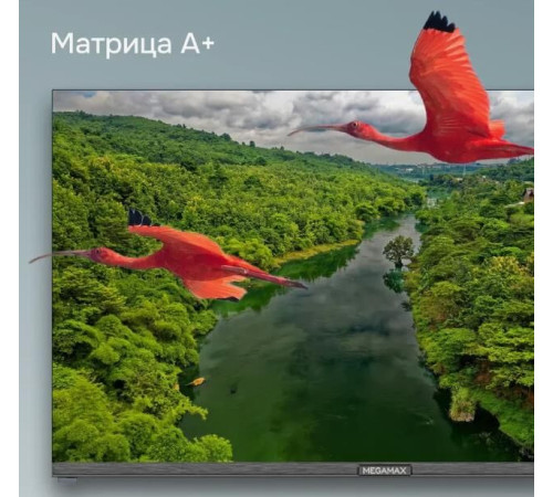 MEGAMAX 32MG11H HD Безрамочный