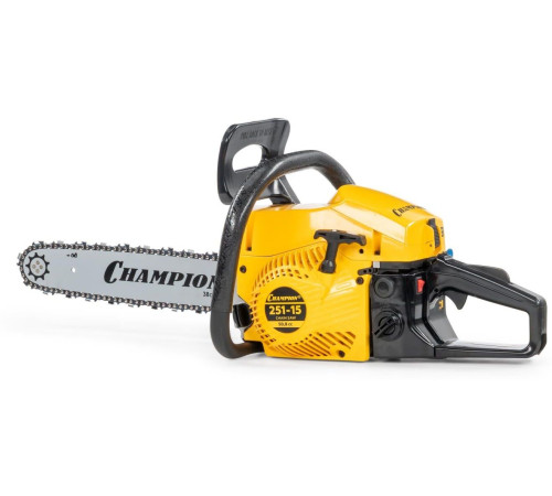 CHAMPION 251-15