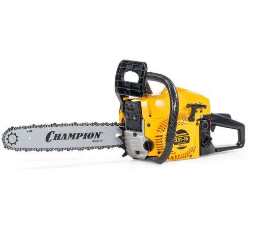 CHAMPION 251-15