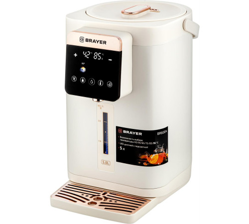 BRAYER BR6004