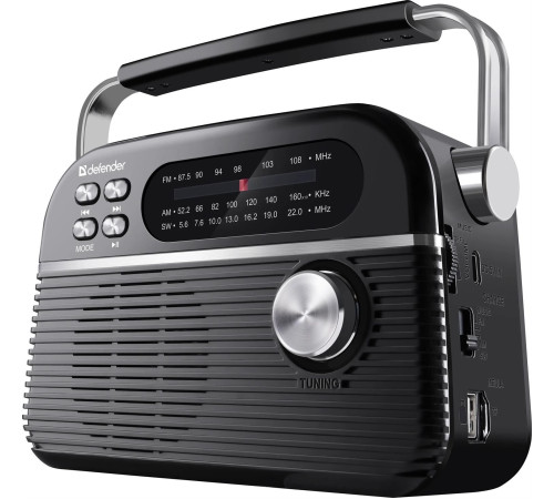 DEFENDER (65179) Vega