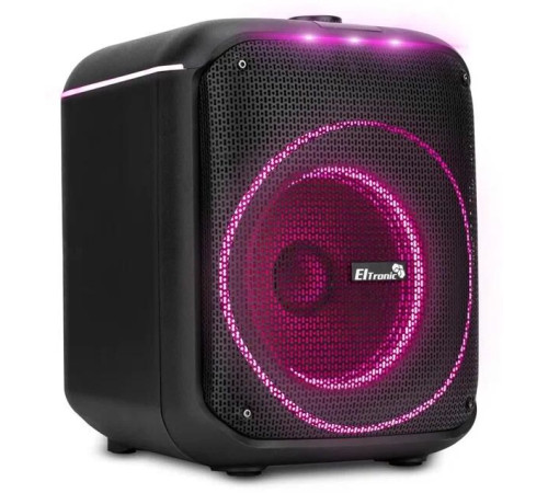 ELTRONIC (30-78) DANCE BOX 550 - колонка 08