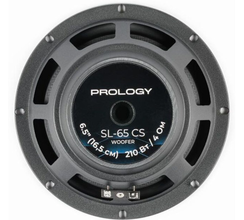 PROLOGY SL-65CS 2-полосная