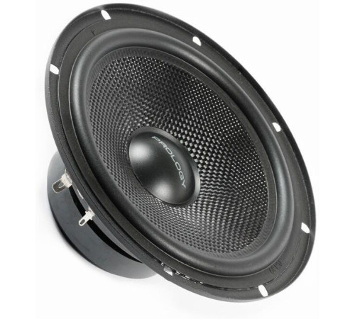 PROLOGY SL-65CS 2-полосная