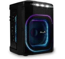 ELTRONIC (30-80) DANCE BOX 550 - колонка 08