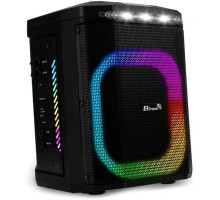 ELTRONIC (30-81) DANCE BOX 550 - колонка 08