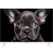 TOPDEVICE TDTV24CS08H_WE HD белый