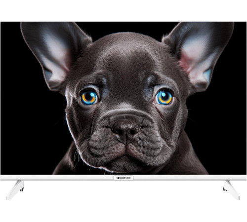 TOPDEVICE TDTV24CS08H_WE HD белый