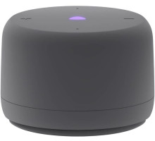 ЯНДЕКС YNDX-00028 Станция Лайт 2 с Алисой, без часов серая