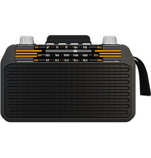 SOUNDMAX SM-RD2114UB(черный)