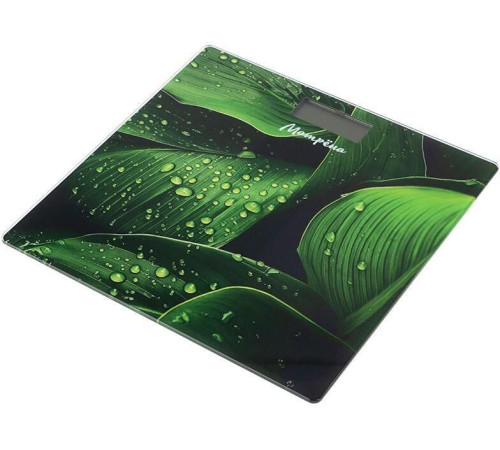 МАТРЁНА MA-032A (стеклянная поверхность, 150 кг) (110016)