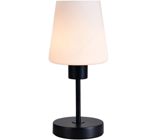 ESCADA 120004/1T E27*60W Black