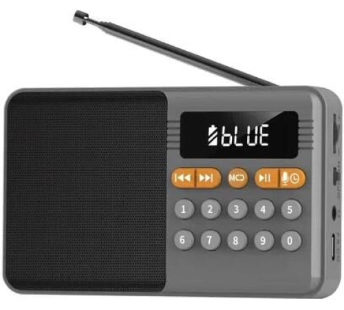 Радиоприемник PERFEO (PF_D0576) ТУРИСТ, серый